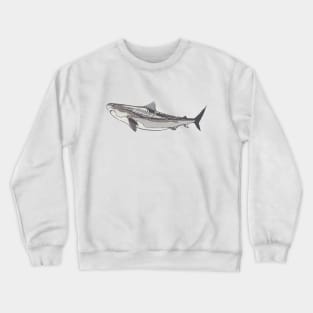 Tiger Shark Crewneck Sweatshirt